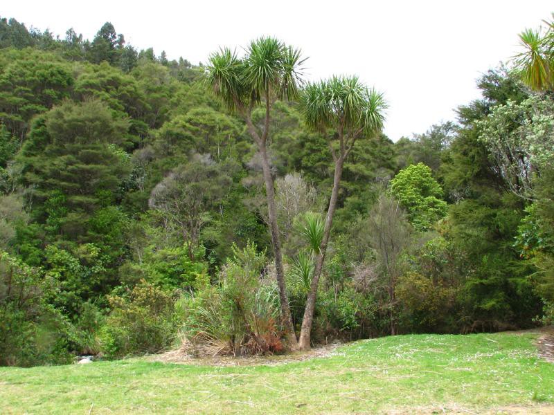 Narodni park WHANGAITERENGA