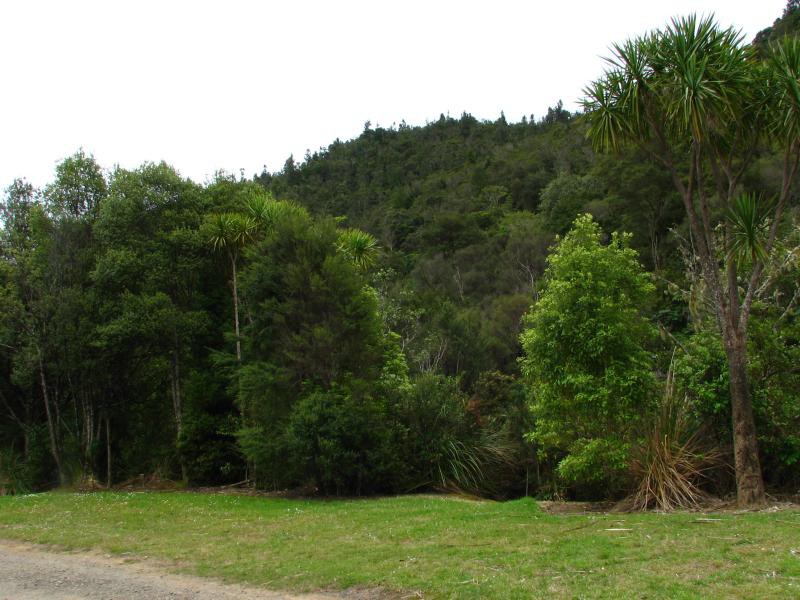 Narodni park WHANGAITERENGA