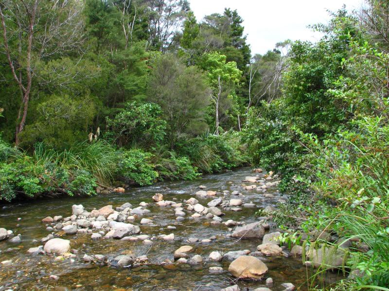 Narodni park WHANGAITERENGA