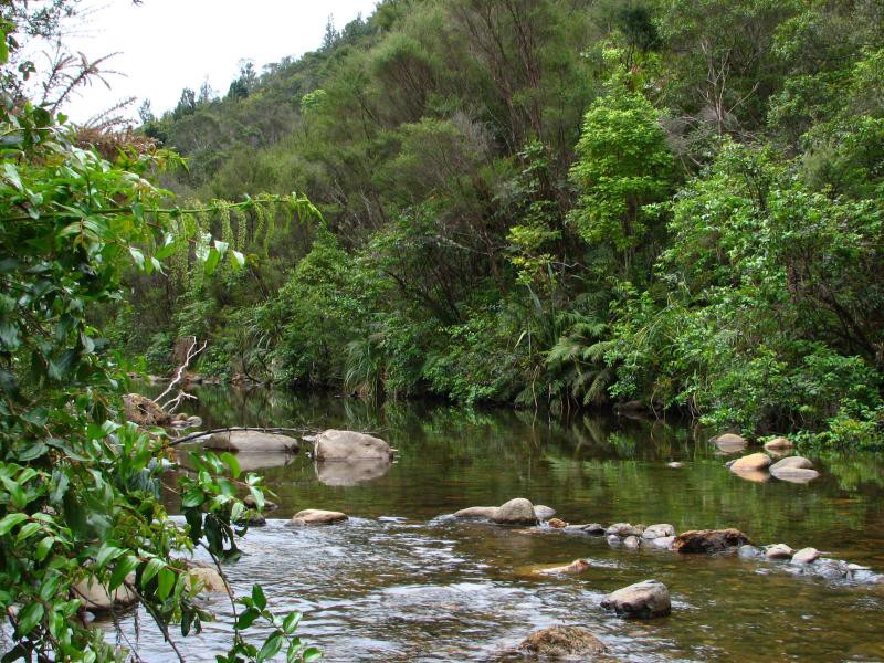 Narodni park WHANGAITERENGA