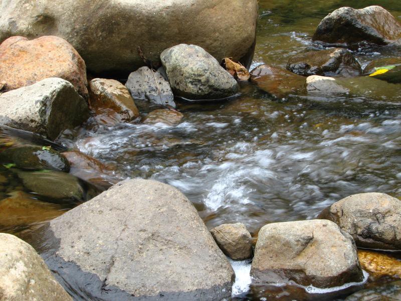 Narodni park WHANGAITERENGA