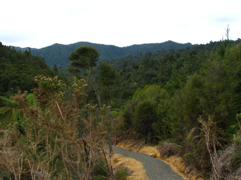 Narodni park WHANGAITERENGA