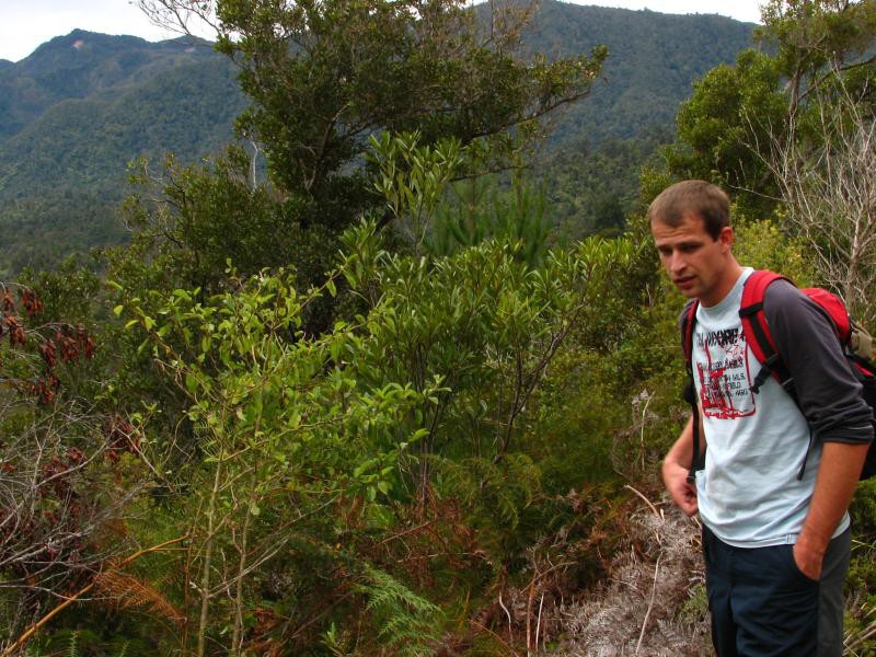 Narodni park WHANGAITERENGA