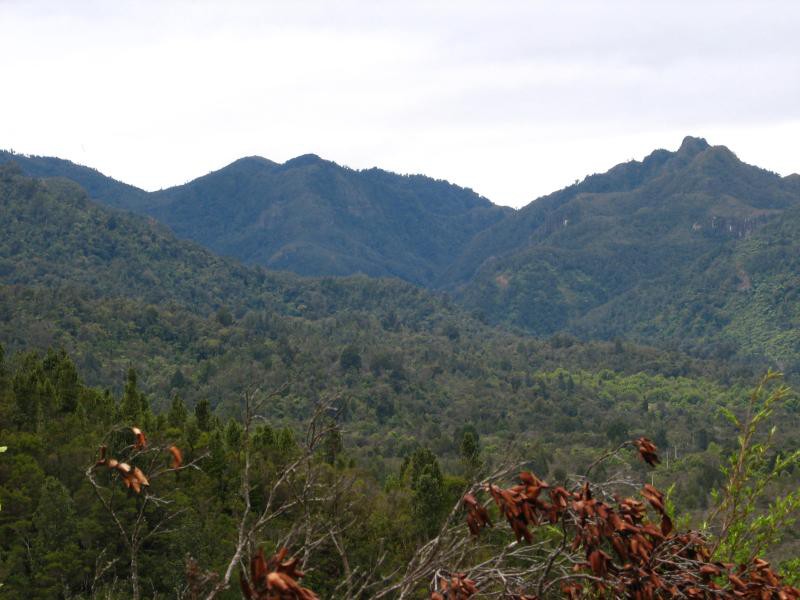 Narodni park WHANGAITERENGA