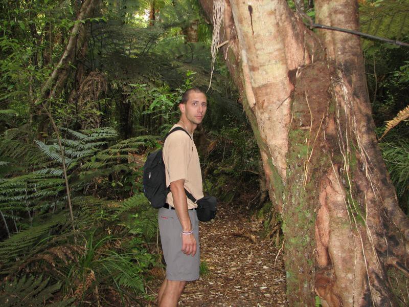 Narodni park WHANGAITERENGA