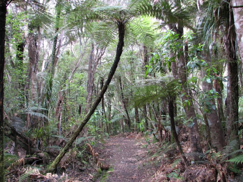 Narodni park WHANGAITERENGA