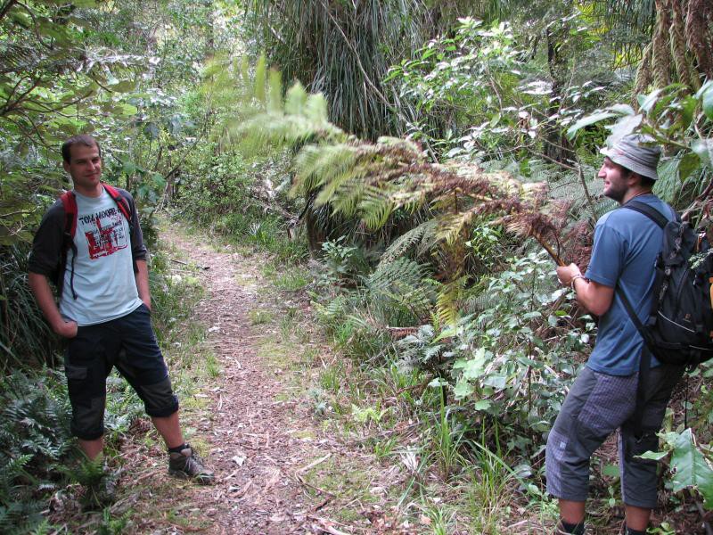 Narodni park WHANGAITERENGA