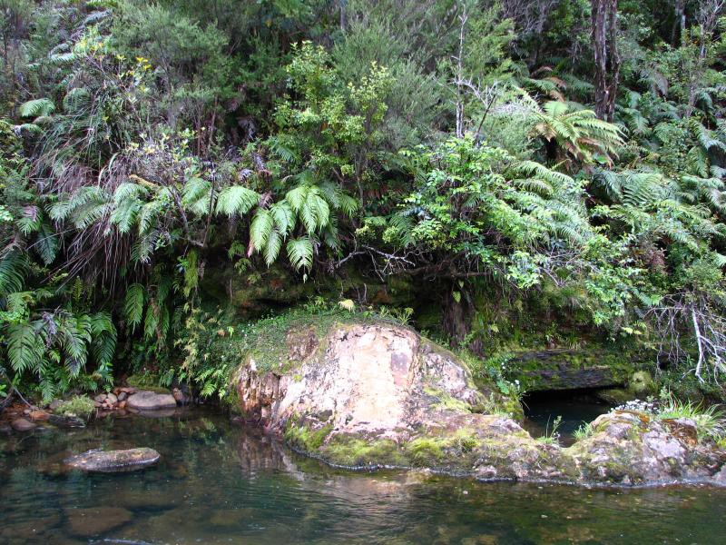 Narodni park WHANGAITERENGA