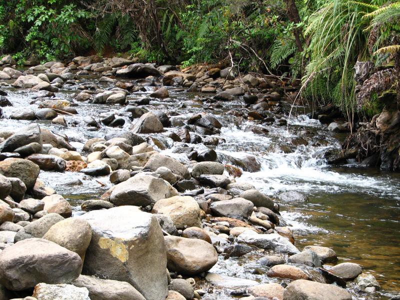 Narodni park WHANGAITERENGA