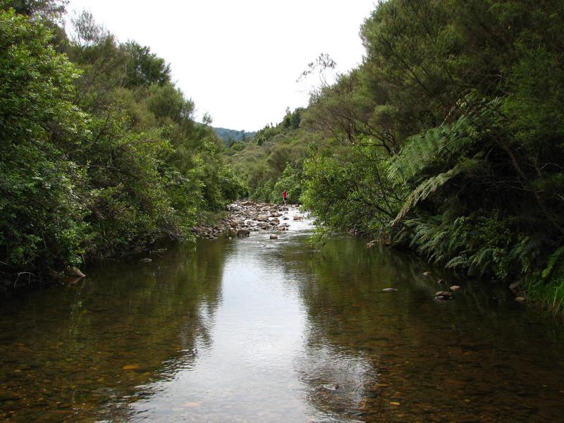 Narodni park WHANGAITERENGA