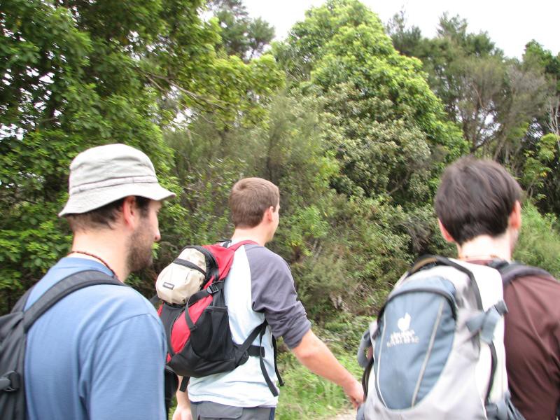 Narodni park WHANGAITERENGA