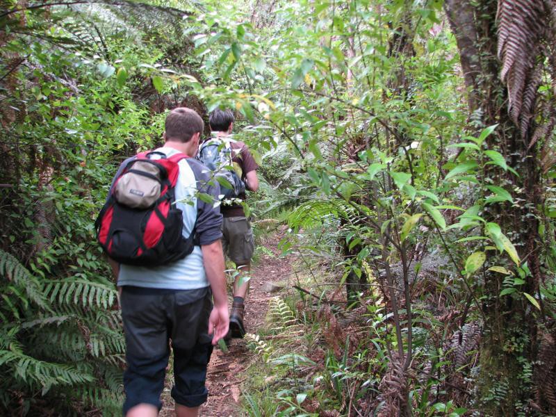 Narodni park WHANGAITERENGA