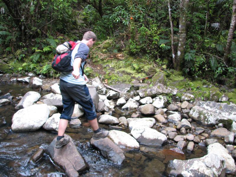 Narodni park WHANGAITERENGA