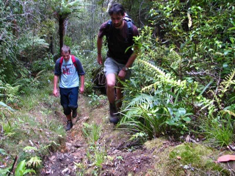 Narodni park WHANGAITERENGA