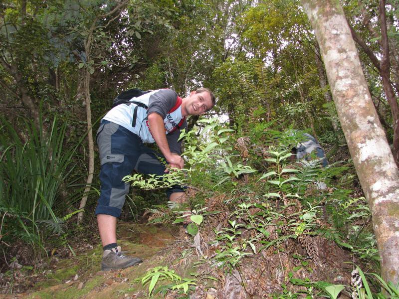 Narodni park WHANGAITERENGA