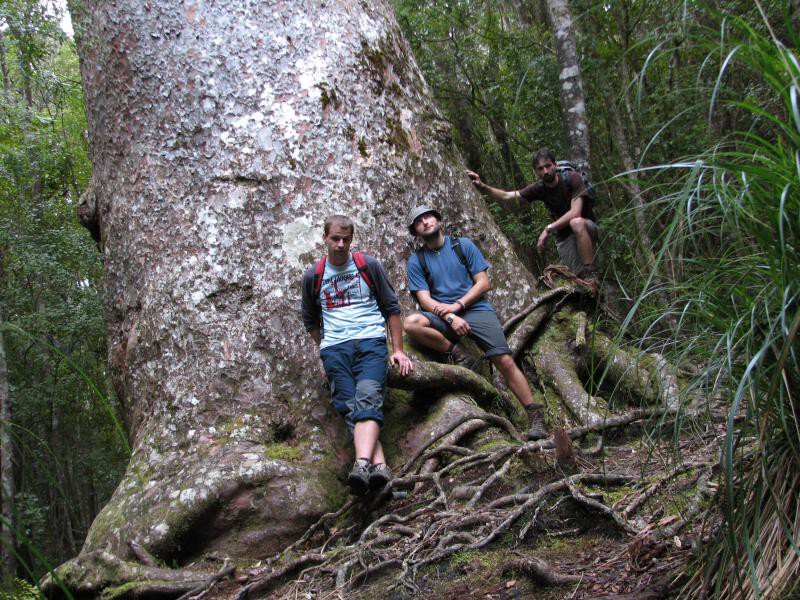 Narodni park WHANGAITERENGA