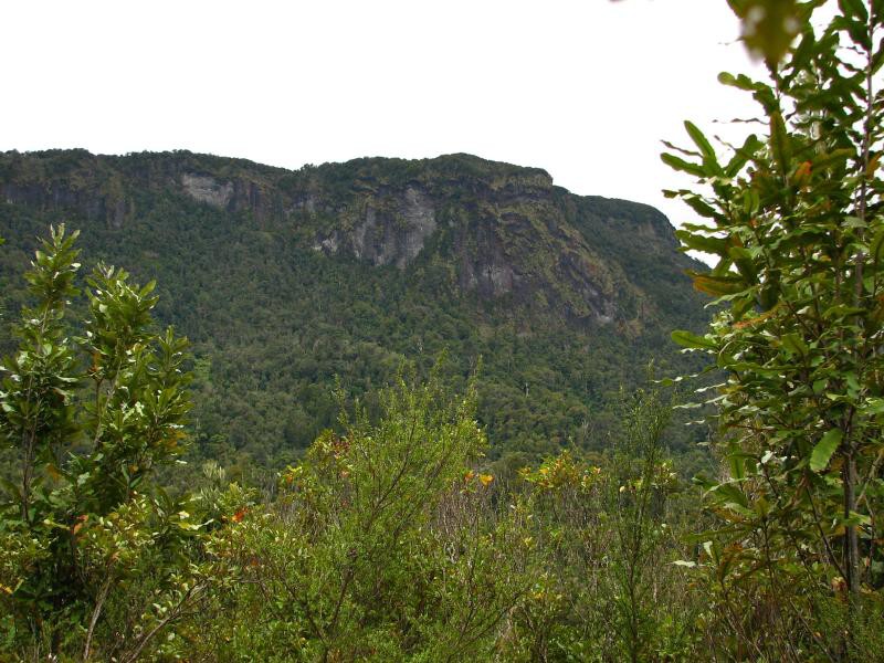 Narodni park WHANGAITERENGA