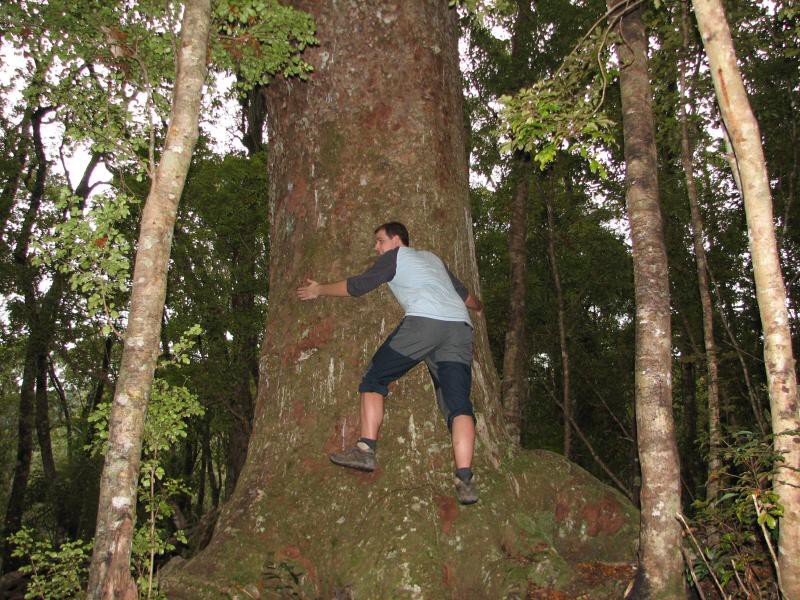 Narodni park WHANGAITERENGA