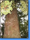 Vytvořeno: 22. října 2006 5:45:20 