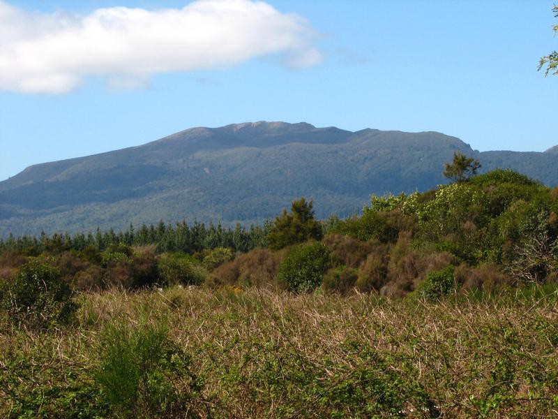 Tongariro