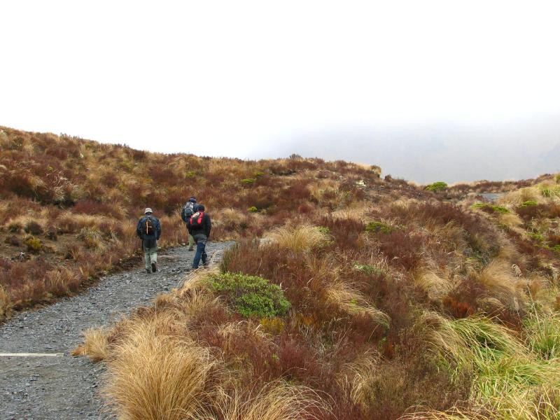 Tongariro
