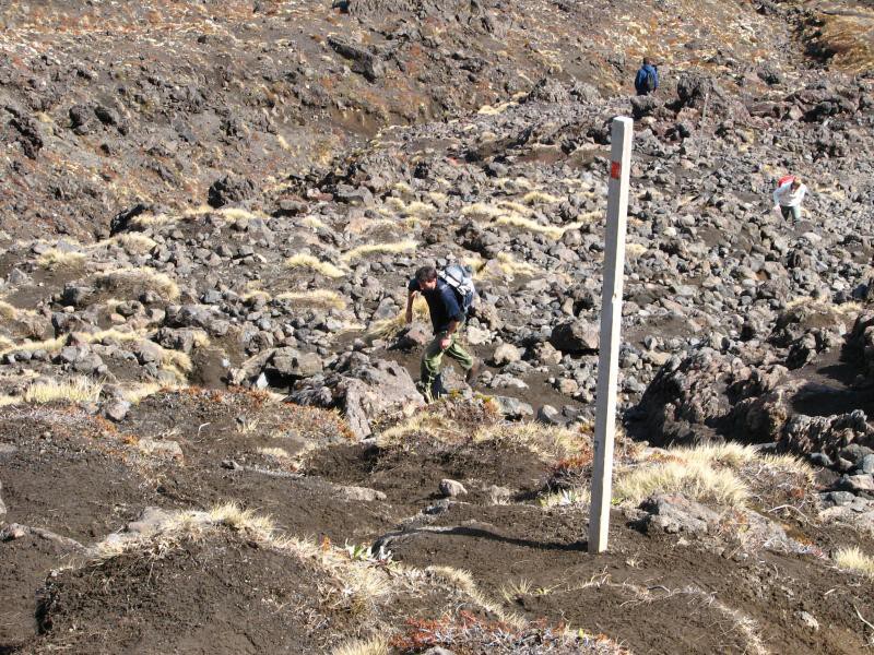 Tongariro