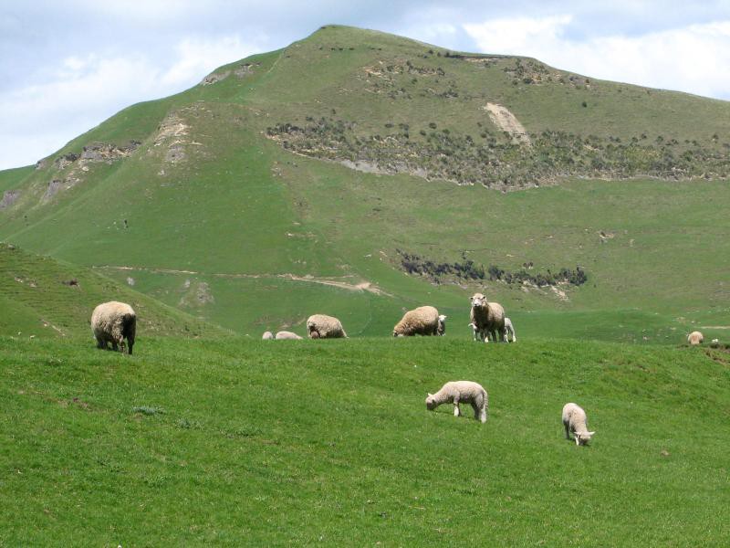 Three Kings Range