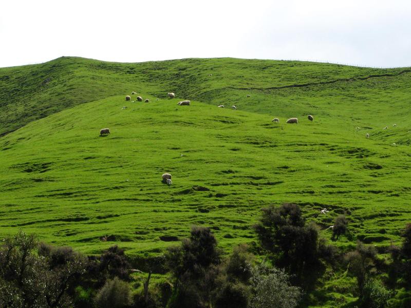 Three Kings Range