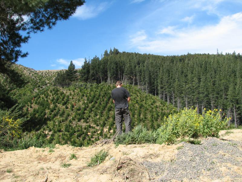 Three Kings Range