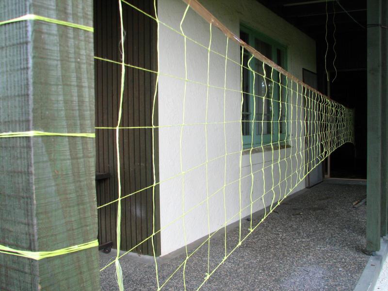 sitovani
