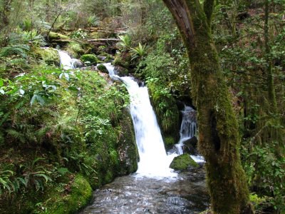 Track okolo Lake Rotoroa