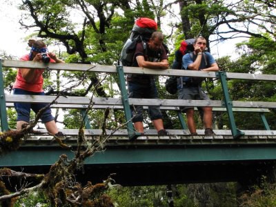 Track okolo Lake Rotoroa