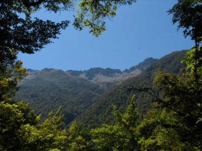 Track okolo Lake Rotoroa