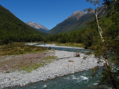 Track okolo Lake Rotoroa