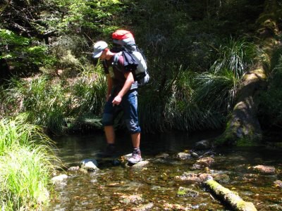 Track okolo Lake Rotoroa