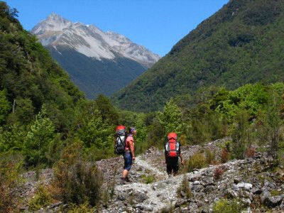 Track okolo Lake Rotoroa