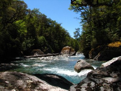 Track okolo Lake Rotoroa