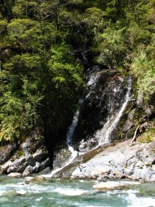 Track okolo Lake Rotoroa