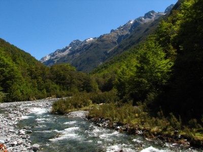 Track okolo Lake Rotoroa