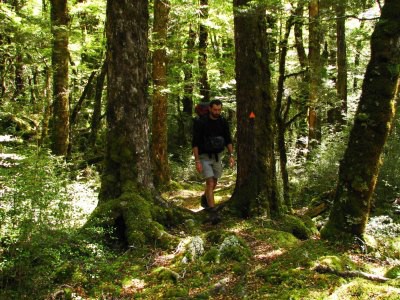 Track okolo Lake Rotoroa