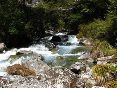 Track okolo Lake Rotoroa
