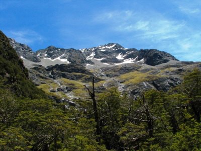 Track okolo Lake Rotoroa
