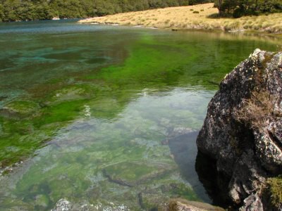 Track okolo Lake Rotoroa