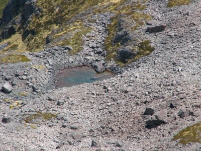 Track okolo Lake Rotoroa