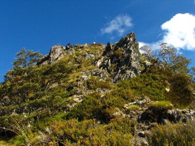 Track okolo Lake Rotoroa