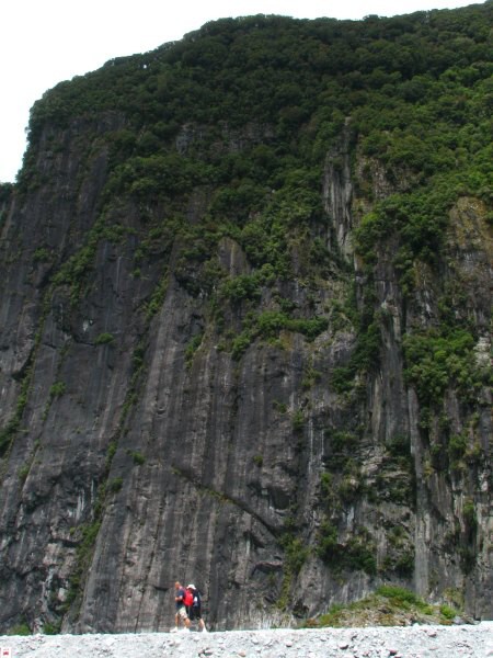 Fox Glacier