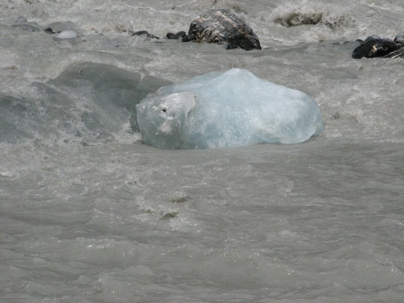 Fox Glacier