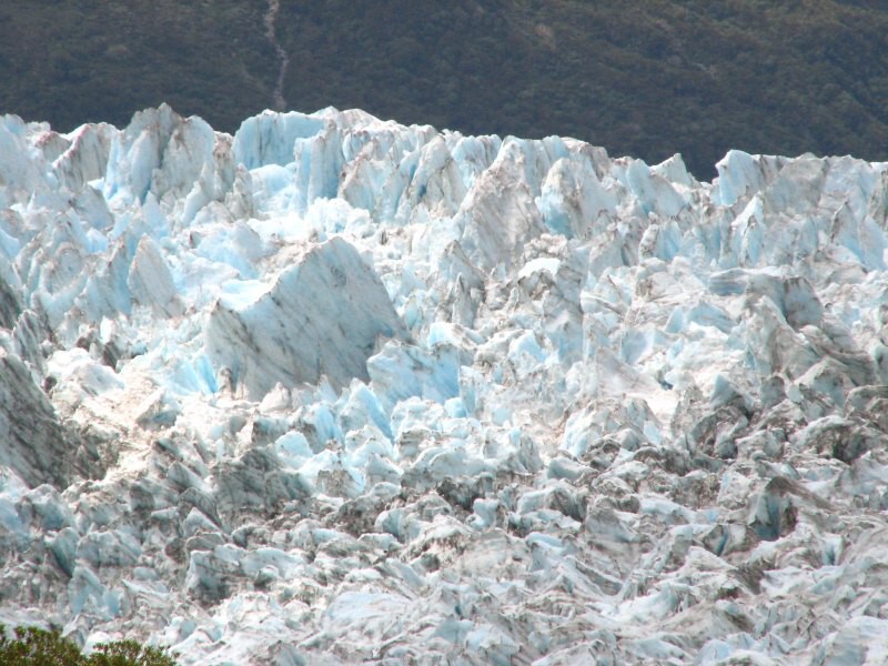 Fox Glacier