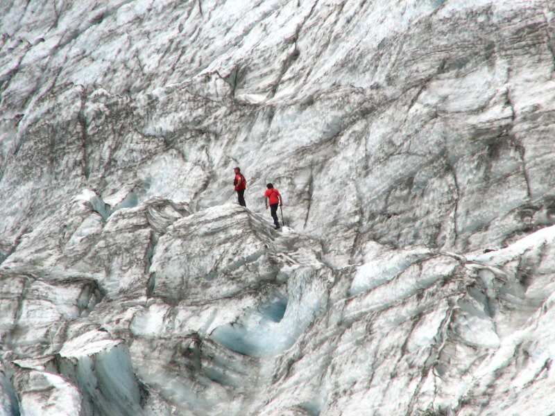 Fox Glacier