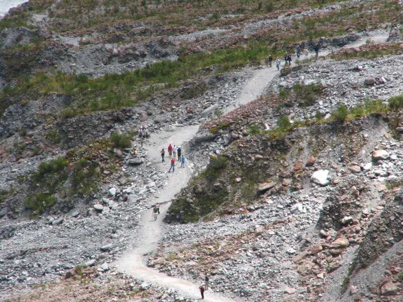 Fox Glacier